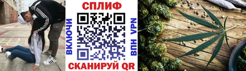 Марихуана SATIVA & INDICA  Каменногорск 